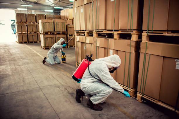 Best Flea Control Services  in Mvern, AL