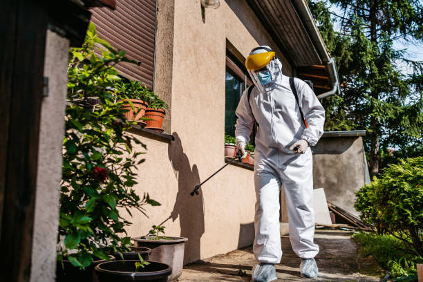 Best Emergency Pest Control  in Mvern, AL