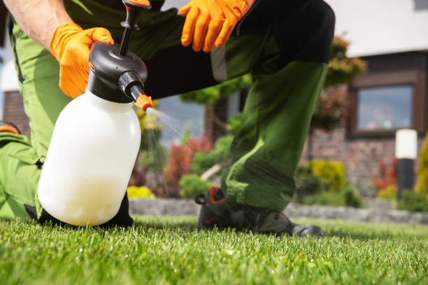 Best Flea Control Services  in Mvern, AL