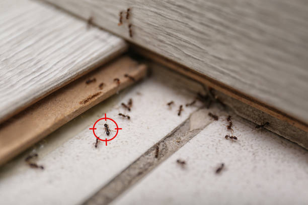 Malvern, AL Pest Control Company