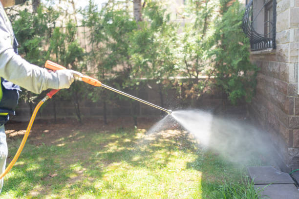 Best Local Pest Control Services  in Mvern, AL