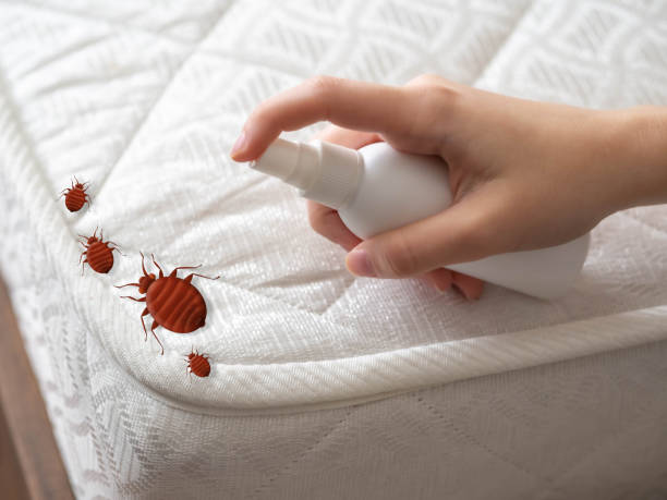 Insect Control in Malvern, AL