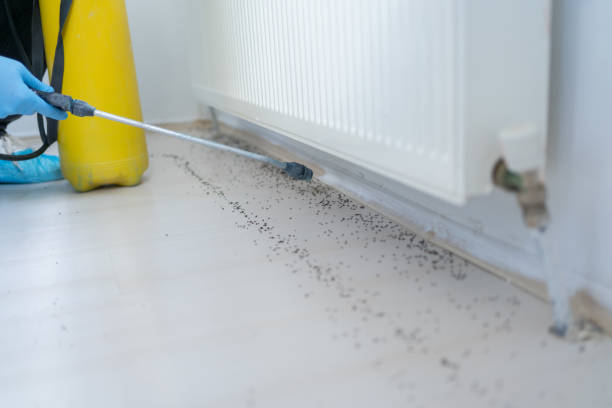 Best Exterminator Services  in Mvern, AL