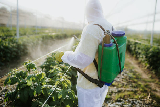 Best Best Pest Control Companies  in Mvern, AL